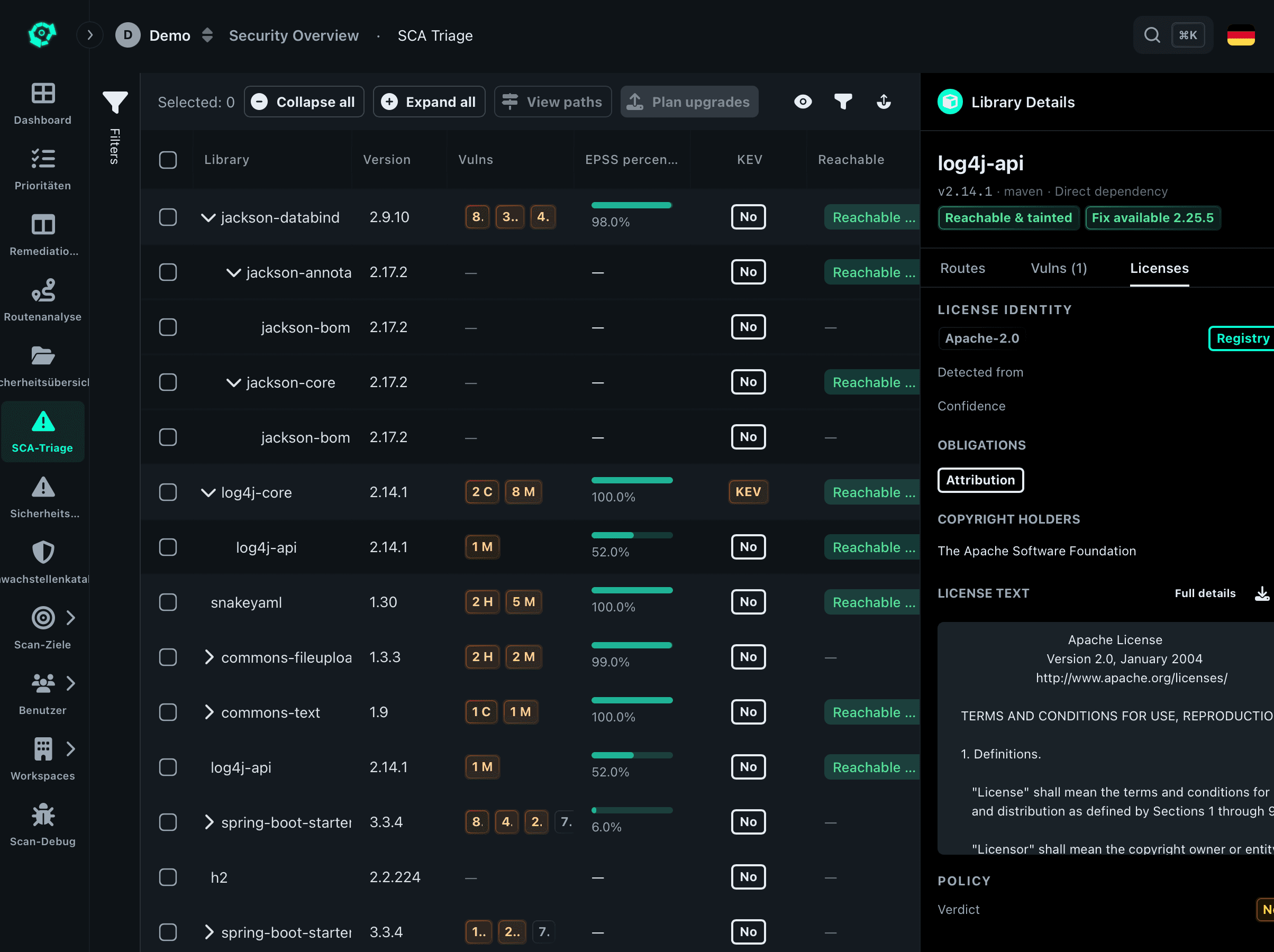 Software dependency inventory with vulnerability information